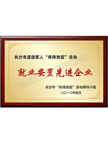 長(zhǎng)沙市退役軍人“雙待雙促”活動(dòng)就業(yè)安置先進(jìn)企業(yè) 長(zhǎng)沙市退役軍人“雙待雙促”活動(dòng)就業(yè)安置先進(jìn)企業(yè)